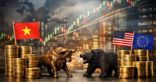 Quỹ nội vượt mặt quỹ ngoại trên thị trường chứng khoán: Ai đang thực sự dẫn dắt cuộc đua?