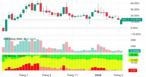 Chuyện lạ trên sàn: Công ty địa ốc giao Chủ tịch HĐQT 150 tỷ đầu tư chứng khoán