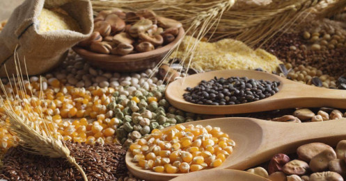 Thị trường thận trọng sau báo cáo WASDE, theo dõi thời tiết Brazil và nhu cầu Trung Quốc