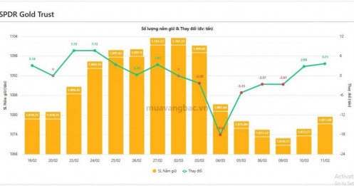 Ai đang gom gần 7 tấn vàng chỉ trong 2 ngày?