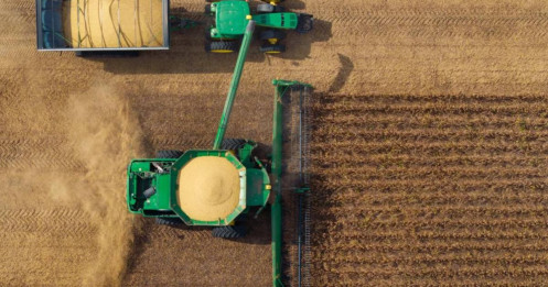 Sau kim loại quý và năng lượng dòng tiền đang dịch chuyển sang nông sản và đậu tương là điểm sáng