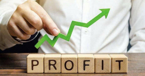 CTCK kỳ lạ nhất thị trường: 86 người làm ra 6.700 tỷ, cổ đông phân tán không ai nắm quyền