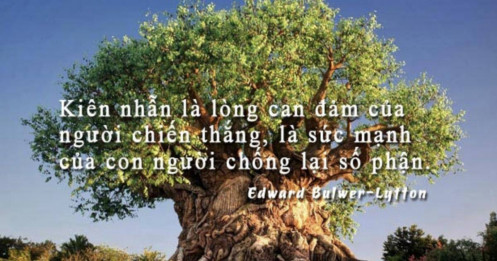 4 kiểu người càng kiên nhẫn càng dễ thành công: Bạn có nằm trong số này?