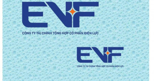 EVF dự kiến huy động tối đa 5.000 tỷ đồng vốn cấp 2 qua trái phiếu