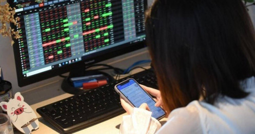 Loạt cổ phiếu “trú ẩn” an toàn với cổ tức cao, thanh khoản tốt, tiền mặt dồi dào