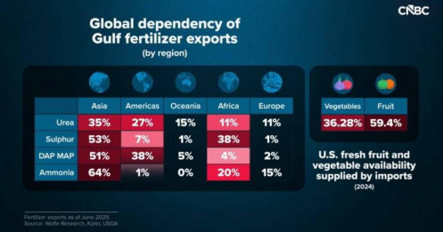 Nguy cơ giá lương thực toàn cầu tăng vọt khi chiến tranh ở Trung Đông vẫn tiếp diễn