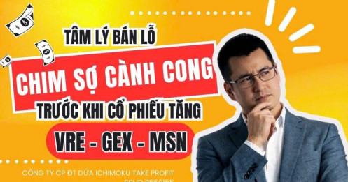 Chứng khoán hôm nay: Chim sợ cành cong, tâm lý bán lỗ VRE, GEX, MSN trước khi cổ phiếu tăng?