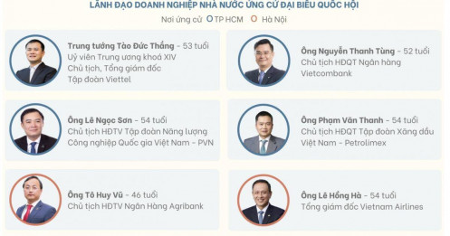Những lãnh đạo doanh nghiệp ứng cử đại biểu Quốc hội
