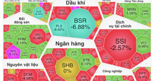 Cổ phiếu dầu khí “đổ máu”, VN-Index mất hơn 13 điểm