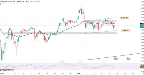 Giá vàng hôm nay ngày 13/03/2026