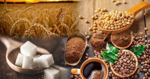 Bản Tin Nhóm Nguyên Liệu Công Nghiệp Ngày 13/03/2026