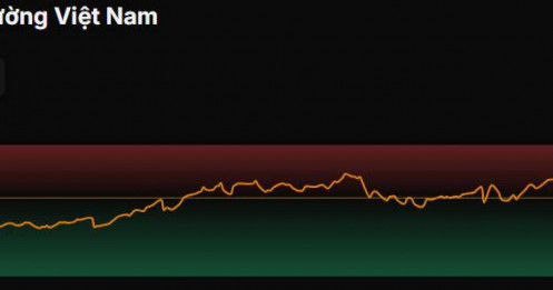 P/E Forward: Kim chỉ nam tìm kiếm vùng trũng lợi nhuận khi thị trường biến động