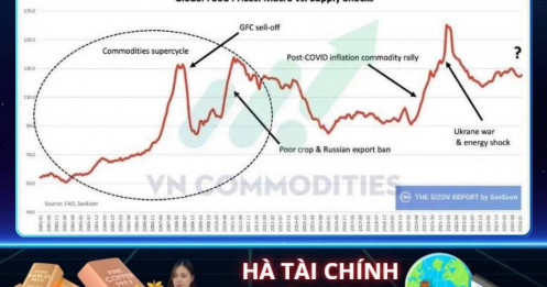 Diễn biến giá lương thực toàn cầu: Khi cú sốc vĩ mô và nguồn cung quay trở lại