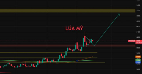Nhận định thị trường nông sản: Lúa mì và ngô được hỗ trợ, đậu tương chịu áp lực trong ngắn hạn