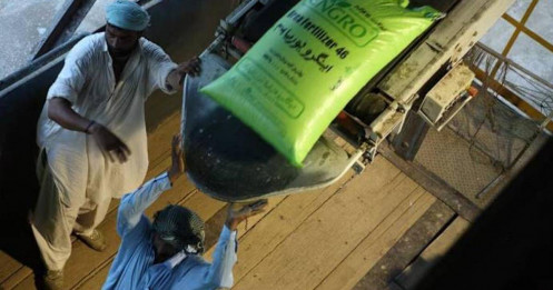 Khủng hoảng phân bón: Xung đột Trung Đông có thể dấy lên cú sốc lương thực nghiêm trọng hơn năm 2022