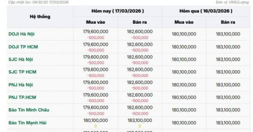 Sáng 17/3: Giá vàng SJC, vàng nhẫn lại đồng loạt giảm