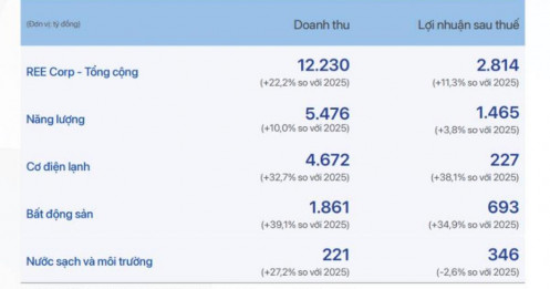 REE thâu tóm dự án điện gió hơn 9.100 tỷ, đặt mục tiêu lợi nhuận cao kỷ lục