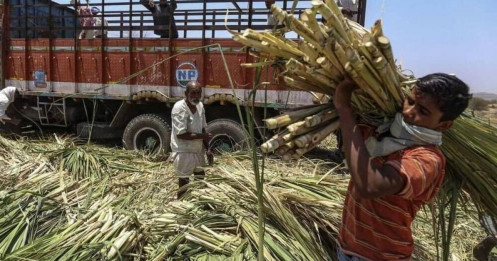 Đường – Cơ hội hình thành chu kỳ tăng mới trong bối cảnh căng thẳng năng lượng toàn cầu