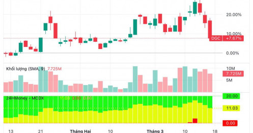 Trước tin khởi tố, quỹ đầu tư đã “thoát hàng” khỏi Đức Giang ra sao?