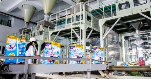 DGC giảm sàn: sự thật lộ diện – thị trường đã biết từ 3 tháng trước?