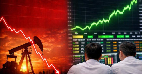 Cổ phiếu dầu khí giảm, liệu có phải cơ hội bắt đáy?