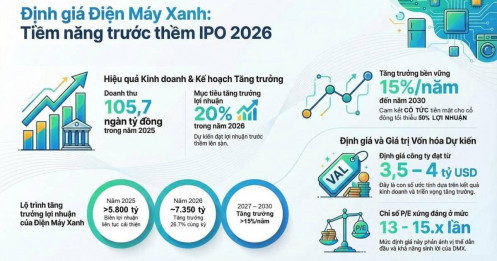 Mức giá nào cho Điện Máy Xanh trước thềm IPO?