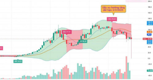 DGC: Cảnh báo để quản trị rủi ro, không phải để chứng minh đúng sai