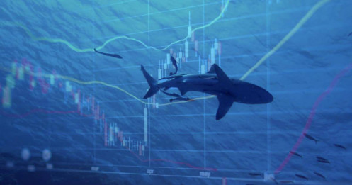 Thương vụ nghìn tỷ tại VIC: Ai đang âm thầm "gom hàng"?