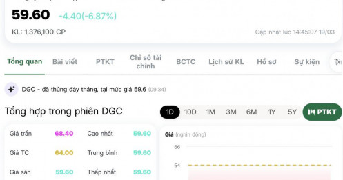 DGC “bay màu” nghìn tỷ: Từ bluechip tỷ USD rơi thẳng xuống đáy sau cú sốc khởi tố