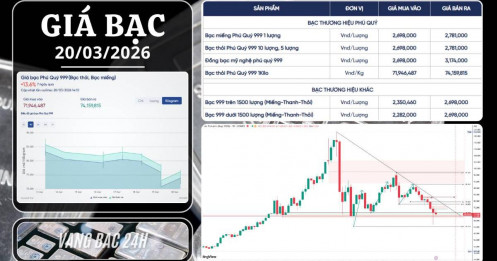 Cập nhật thị trường bạc 20/03: Nhúng mạnh và hồi phục – kì vọng bước vào pha tích lũy