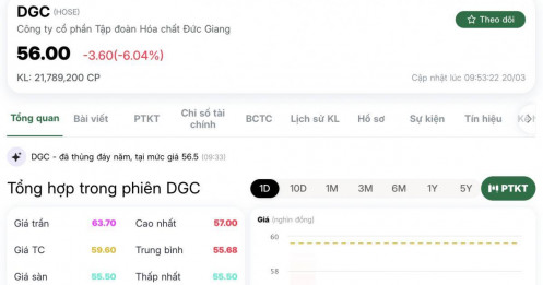 Tiền bắt đáy đổ mạnh vào DGC, thanh khoản vượt nghìn tỷ sau chuỗi giảm sàn