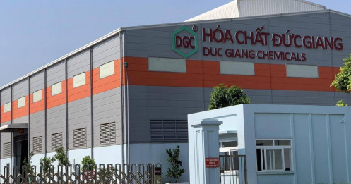 DGC “rơi tự do”: Giải cứu bất thành, vốn hóa bốc hơi gần 10.000 tỷ