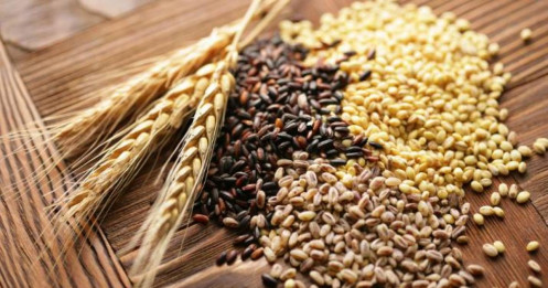 Báo cáo thị trường nông sản 20/03/2026 – phân hóa xu hướng, cơ hội chọn lọc