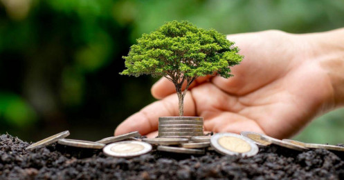 Sóng cổ tức tiền mặt đổ bộ thị trường tuần mới