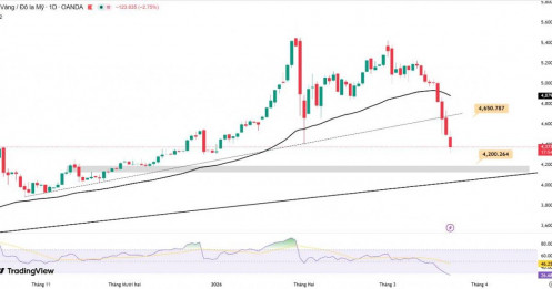 Giá vàng 23/03/2026 – kéo dài đà giảm sang tuần thứ 4