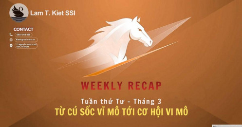 Từ cú sốc vĩ mô tới cơ hội vi mô