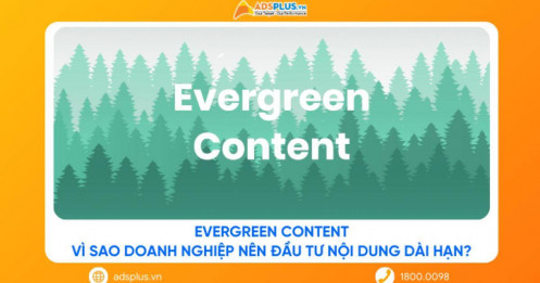 Evergreen Content: Vì sao doanh nghiệp nên đầu tư nội dung dài hạn?