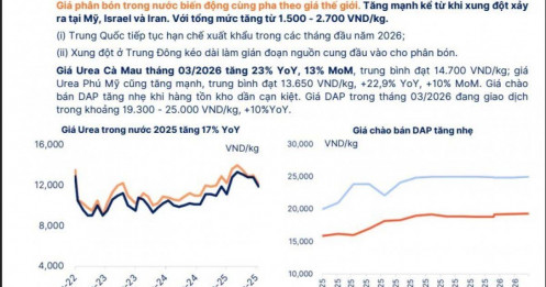 Giá phân bón bùng nổ do xung đột, dòng tiền đổ vào cổ phiếu nào?