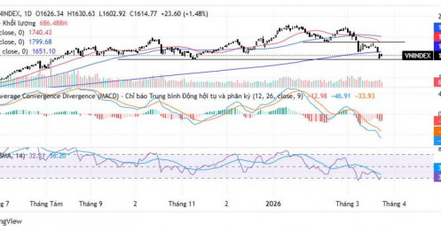 Vn-index hồi phục sau cú sốc 1.600 điểm: Nhịp nghỉ kỹ thuật hay điểm đảo chiều chiến lược?
