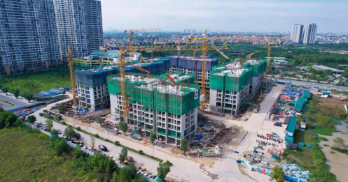 Địa ốc 2026: Khi đám đông sợ hãi là lúc "thợ săn" nhập cuộc?