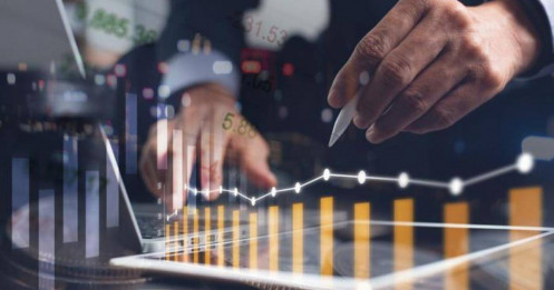 "Xây dựng thành trì" cổ phiếu phòng thủ giữa tâm bão giảm điểm