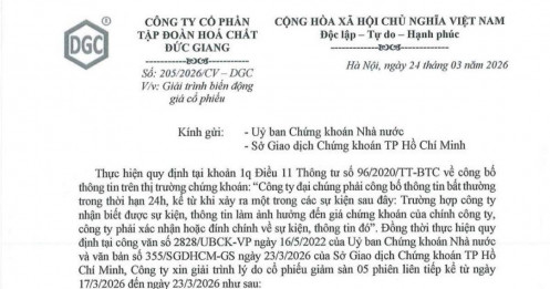 Cổ phiếu lao dốc, 20.000 cổ đông thiệt hại nặng: DGC giải thích ra sao?