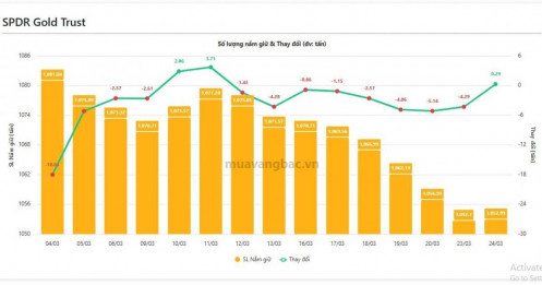 Giá quay đầu, “cá mập” vàng, bạc hành động ra sao?