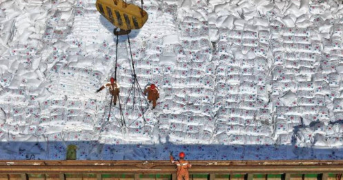 Giá phân bón tăng vọt do xung đột Iran đe dọa an ninh lương thực toàn cầu