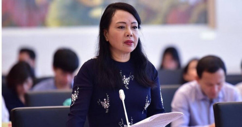 Vụ cựu Bộ trưởng Nguyễn Thị Kim Tiến: 2 triệu USD trong vali, thùng carton bị lừa mất