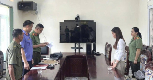 Khởi tố nữ đại diện công ty logistics vì phát hành trái phép hóa đơn xuất khẩu