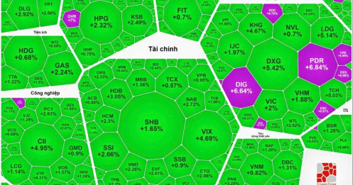 Sắc xanh trở lại bất chấp áp lực địa chính trị