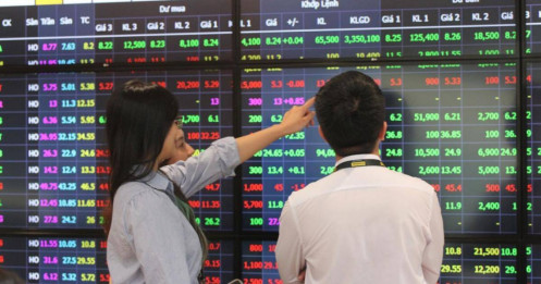 VN-Index rung lắc dữ dội và cuộc di cư của dòng tiền thông minh