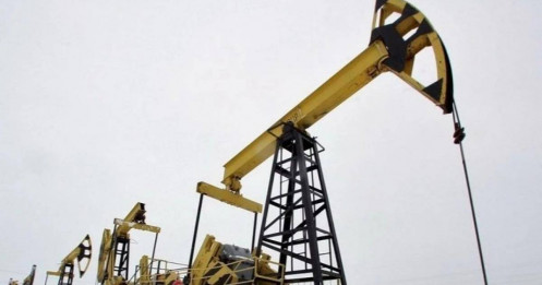 Lệnh cấm xuất khẩu xăng của Nga và phép thử cho thị trường toàn cầu