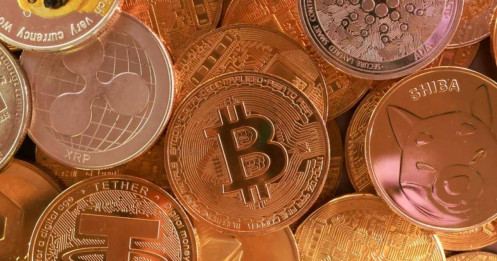 Bẫy lợi nhuận và điểm tựa pháp lý cho thị trường tài sản mã hóa